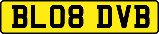 BL08DVB