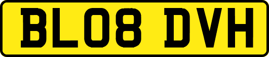 BL08DVH