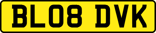 BL08DVK
