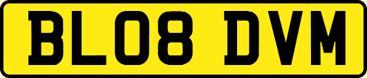 BL08DVM