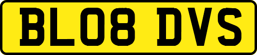 BL08DVS