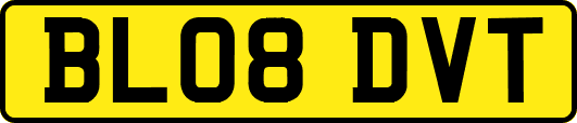 BL08DVT