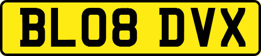 BL08DVX