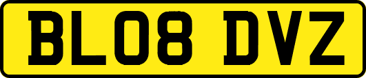 BL08DVZ