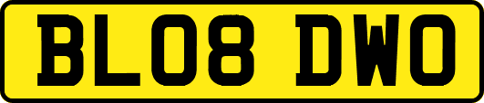 BL08DWO