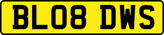 BL08DWS
