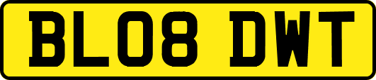 BL08DWT
