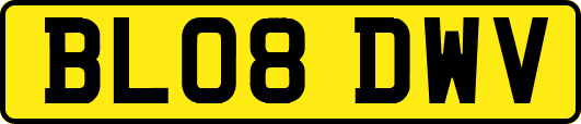 BL08DWV