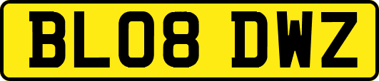 BL08DWZ
