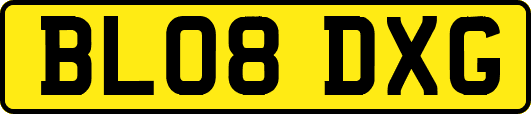 BL08DXG
