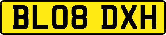 BL08DXH