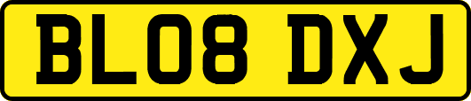 BL08DXJ