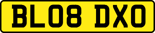 BL08DXO