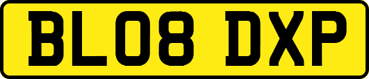 BL08DXP