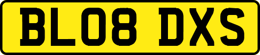 BL08DXS
