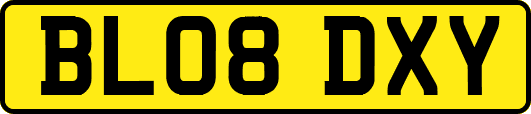 BL08DXY