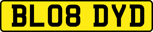 BL08DYD