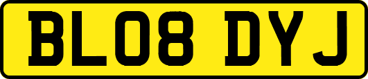 BL08DYJ