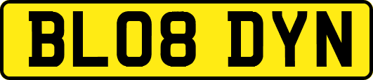 BL08DYN