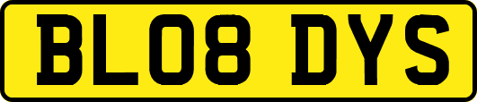 BL08DYS