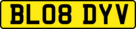 BL08DYV