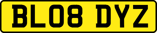 BL08DYZ