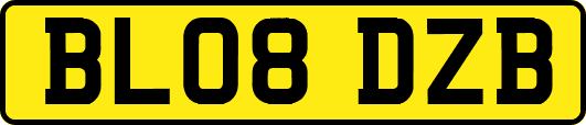BL08DZB