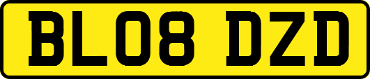 BL08DZD