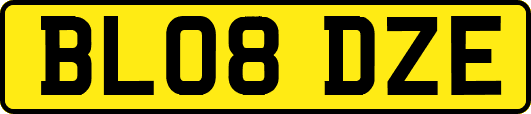 BL08DZE