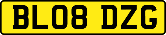 BL08DZG