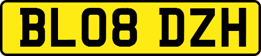 BL08DZH