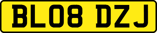 BL08DZJ