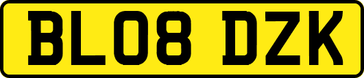 BL08DZK