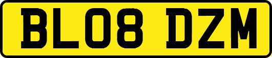 BL08DZM