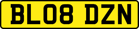 BL08DZN