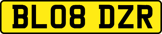 BL08DZR