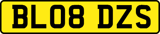 BL08DZS
