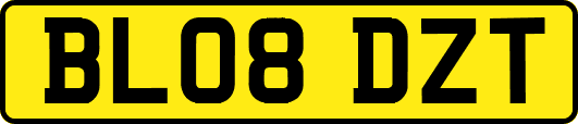 BL08DZT