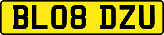 BL08DZU