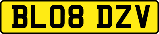 BL08DZV