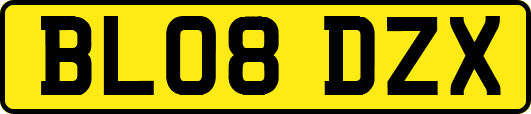 BL08DZX
