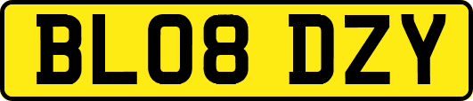 BL08DZY