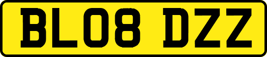 BL08DZZ