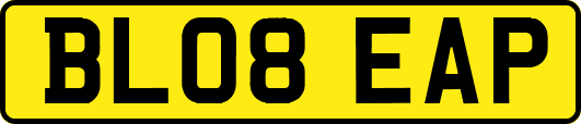 BL08EAP