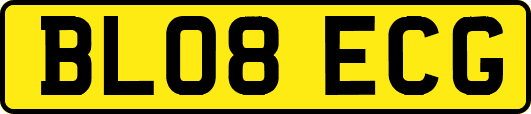 BL08ECG