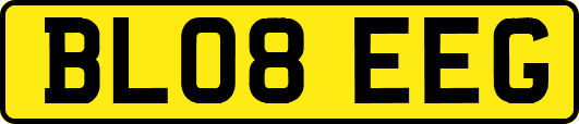 BL08EEG