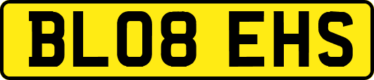 BL08EHS