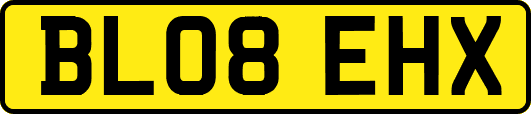 BL08EHX