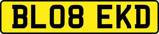 BL08EKD