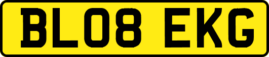 BL08EKG